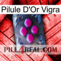 Vigra Gold Pill 02